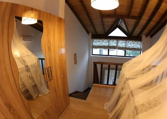 Mimoza Karaburun (Izmir)