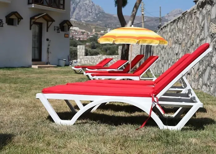 Mimoza * Karaburun (Izmir)