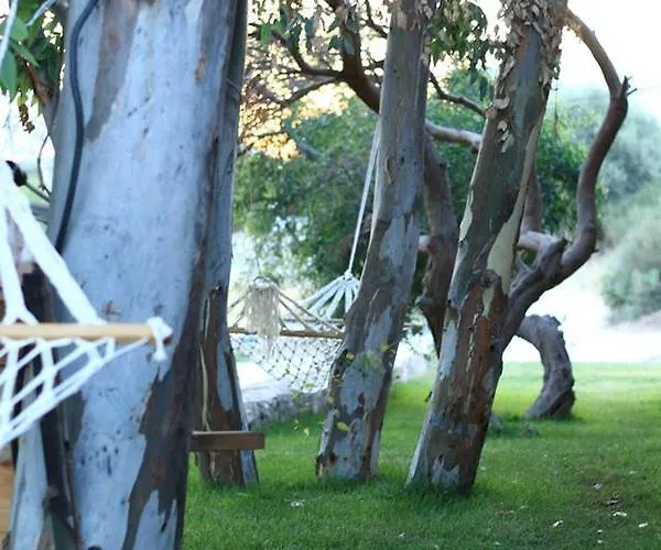 Mimoza Karaburun (Izmir)