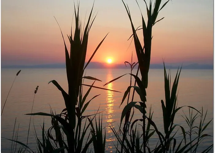 Mimoza * Karaburun (Izmir)